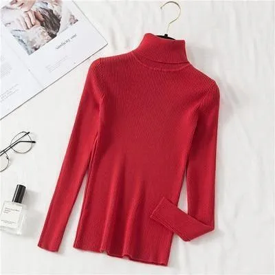 2020 Autumn Fashion Turtleneck Top For Women