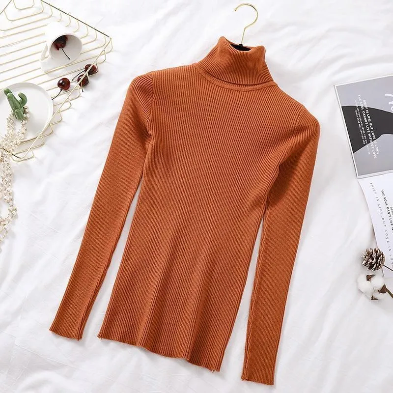 2020 Autumn Fashion Turtleneck Top For Women