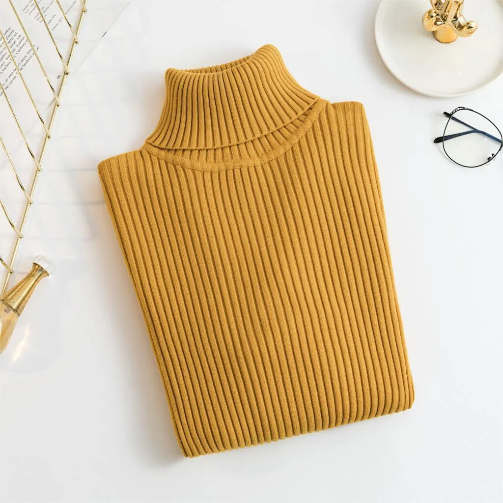 2020 Autumn Fashion Turtleneck Top For Women