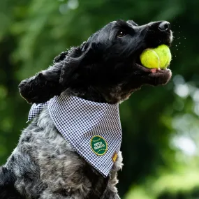 Fetch Fanatic Iron-On Patch For Dogs