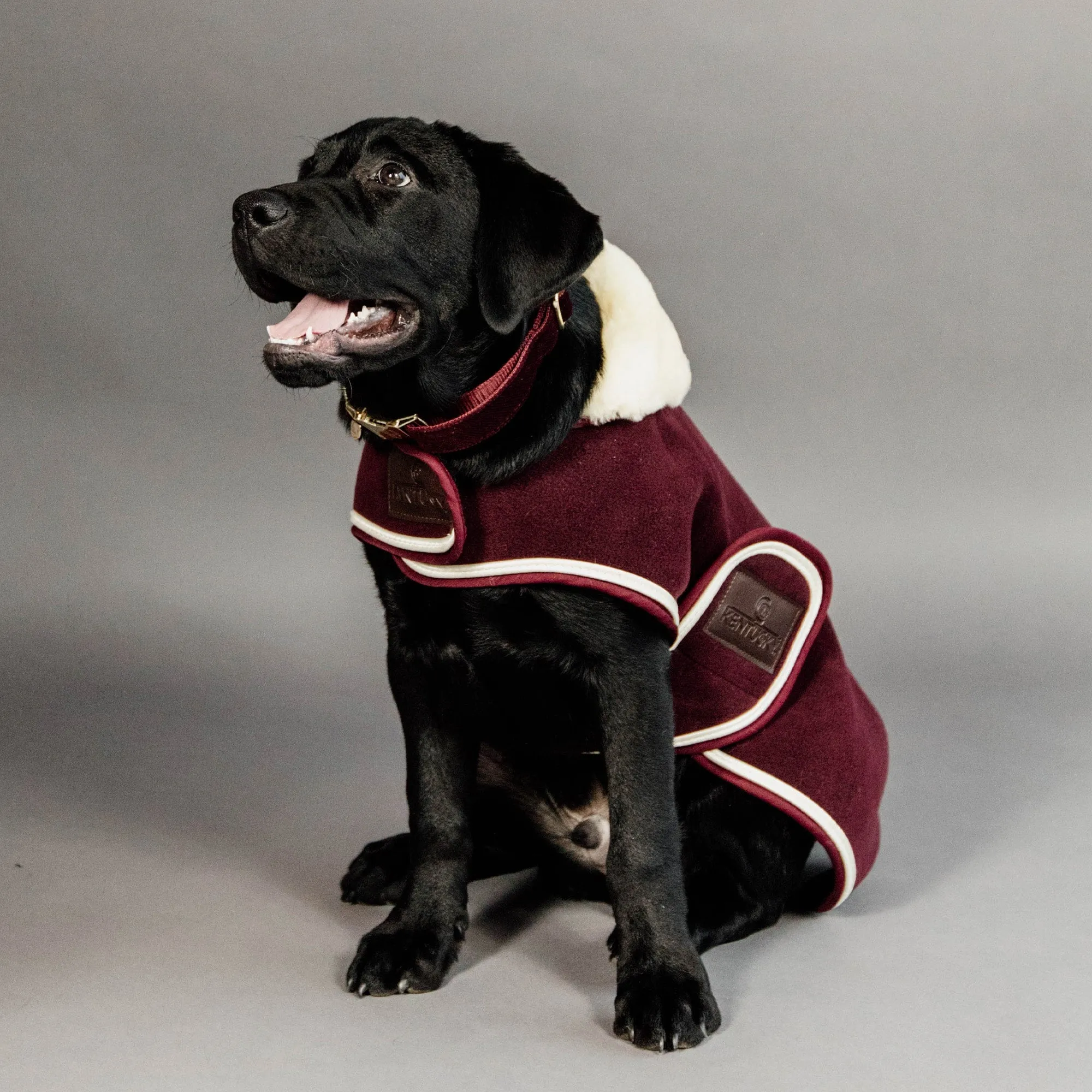 Kentucky Dogwear Heavy Fleece Dog Coat - Bordeaux