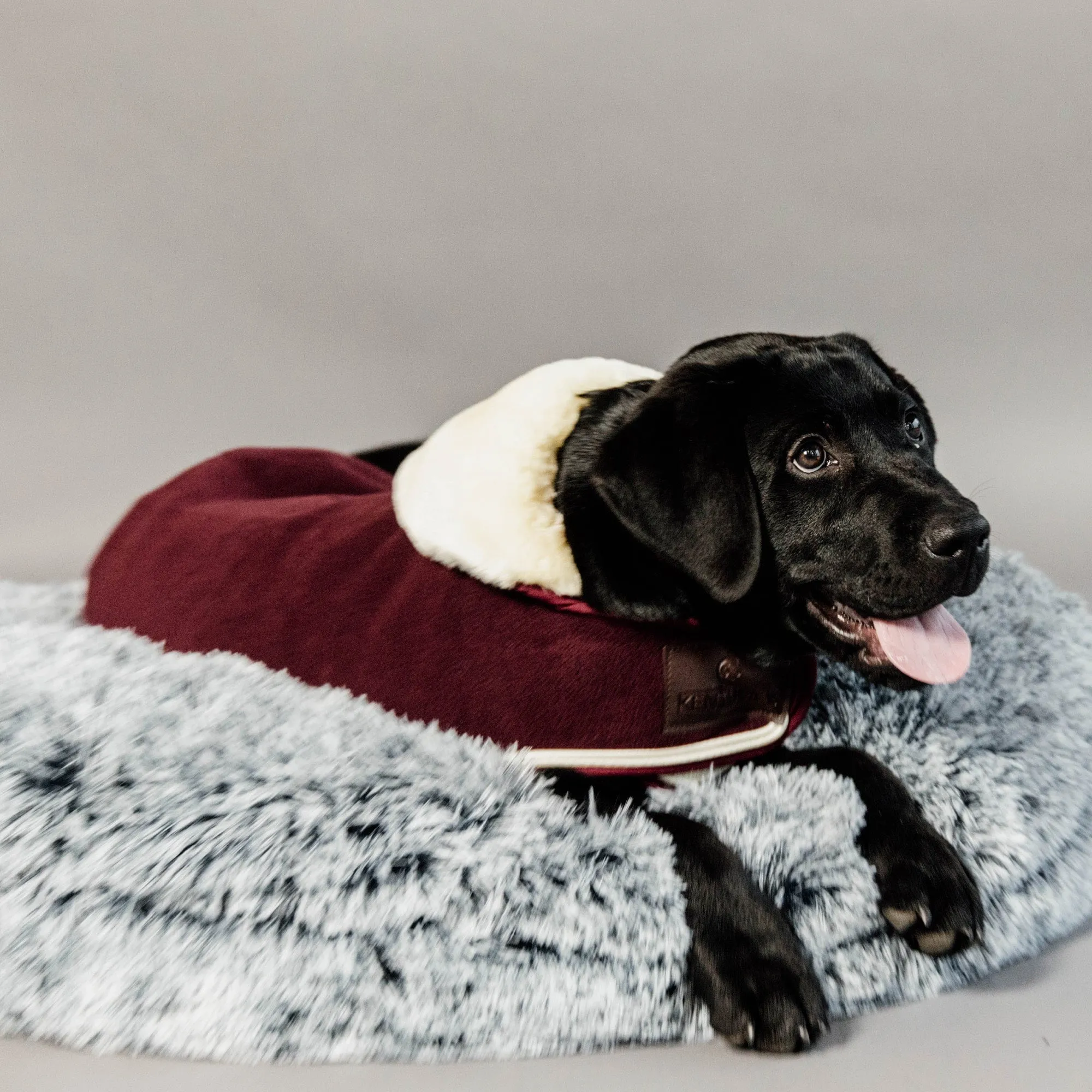 Kentucky Dogwear Heavy Fleece Dog Coat - Bordeaux