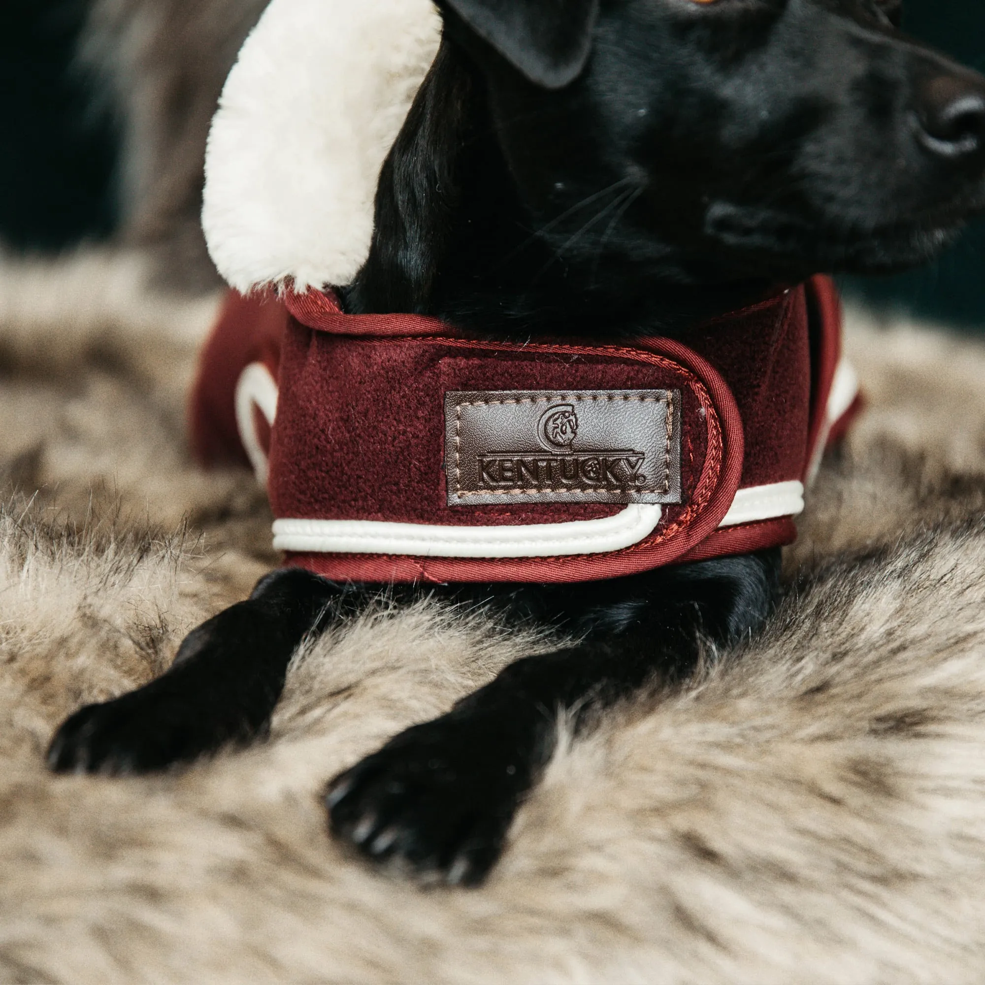 Kentucky Dogwear Heavy Fleece Dog Coat - Bordeaux