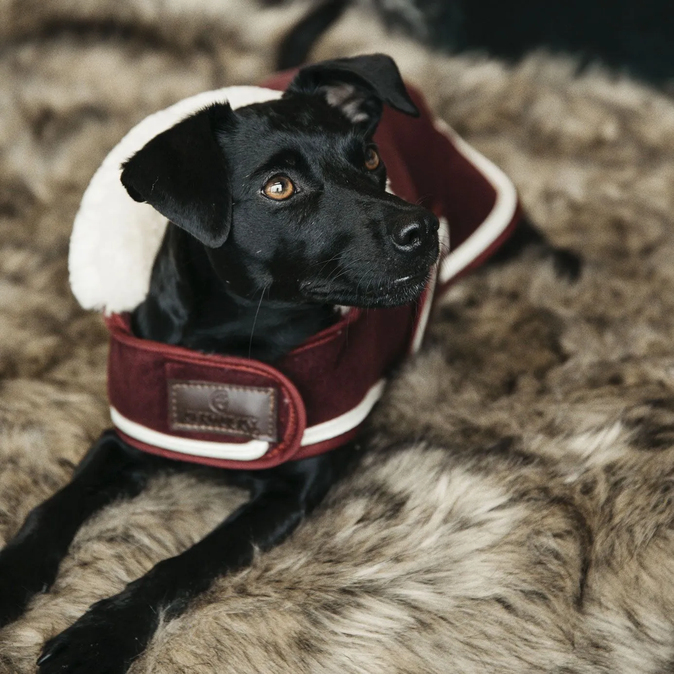 Kentucky Dogwear Heavy Fleece Dog Coat - Bordeaux