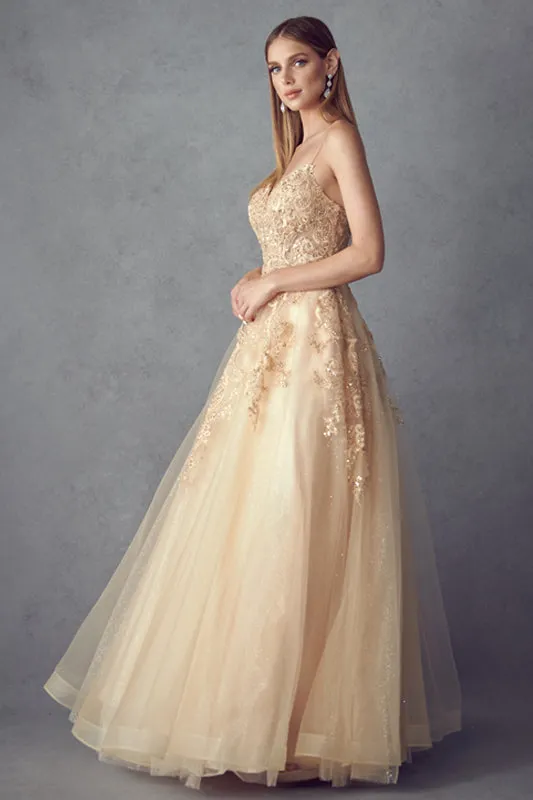 Open back ball gown