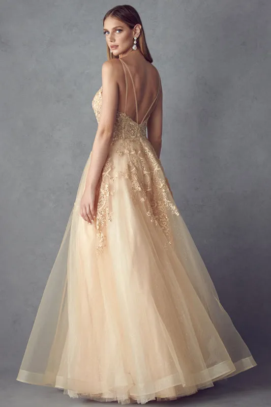 Open back ball gown