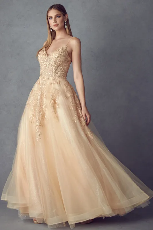 Open back ball gown