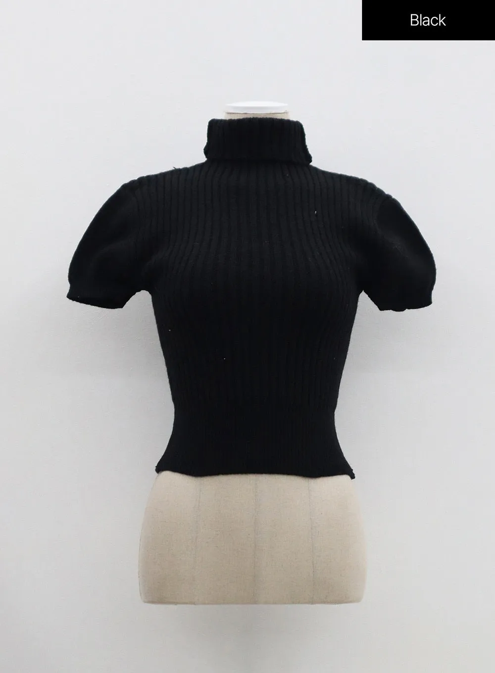 Ribbed Knit Turtleneck Top OM302
