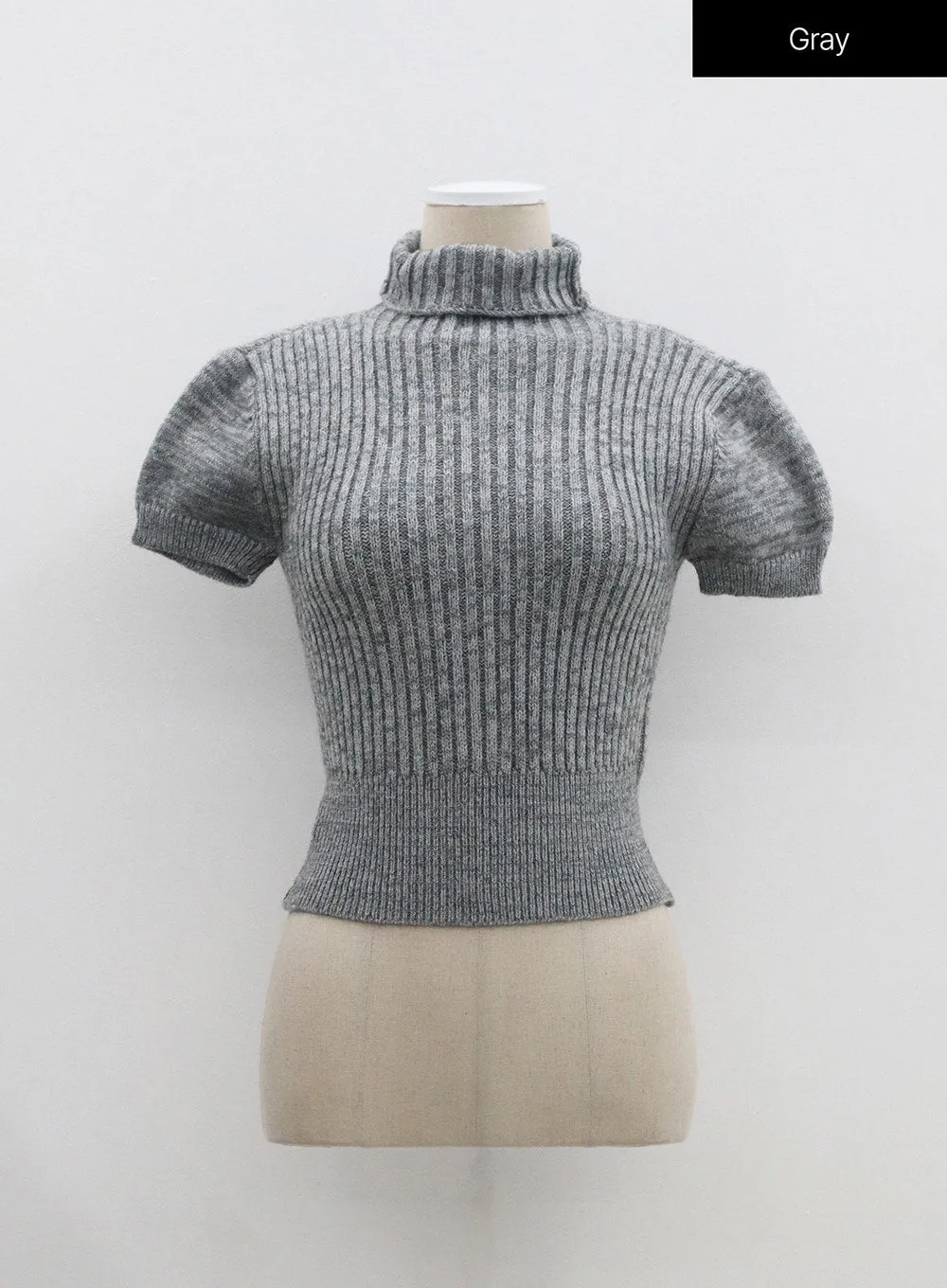 Ribbed Knit Turtleneck Top OM302